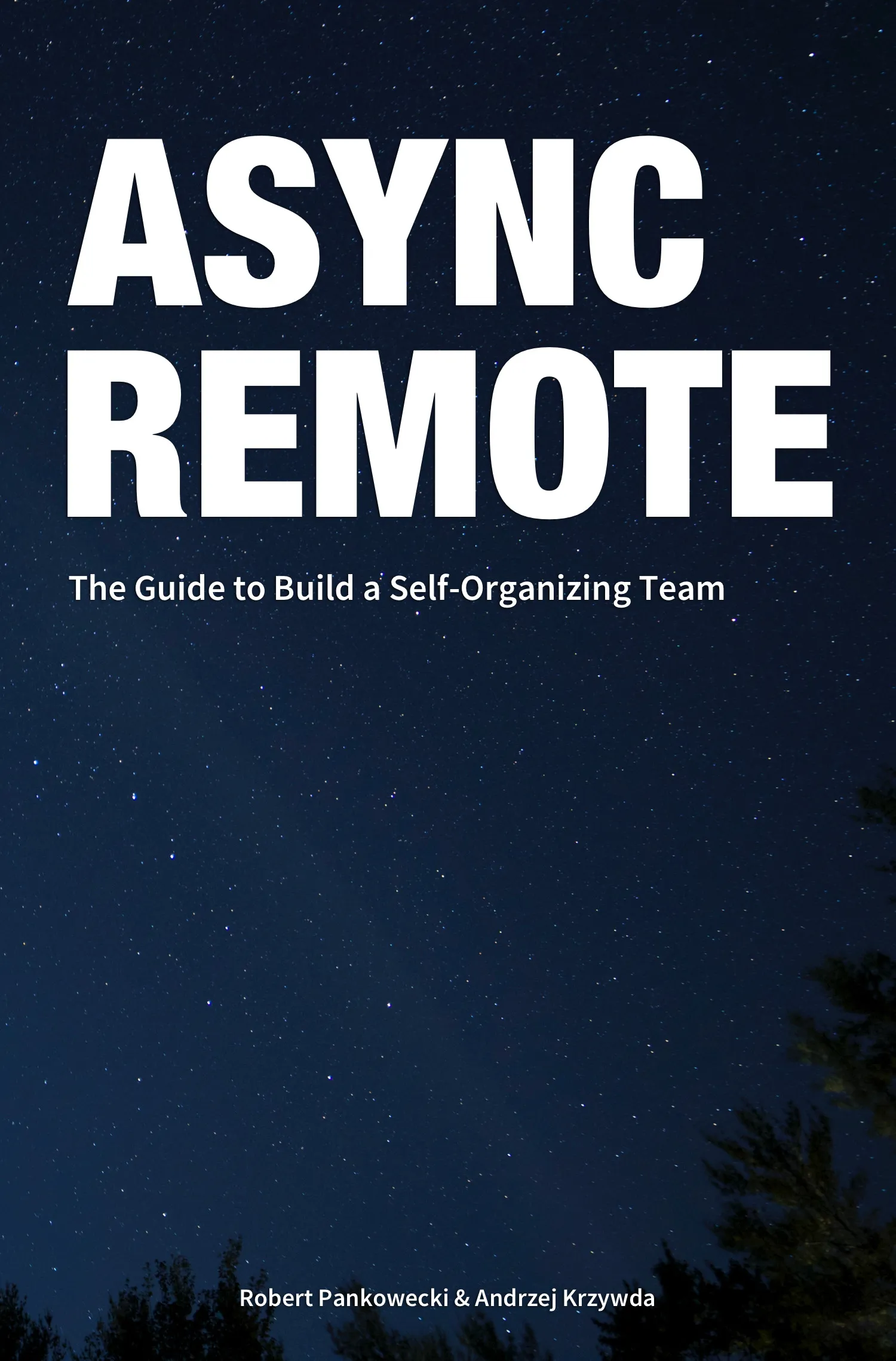 Cover of Async Remote